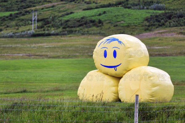 Happy emoticon with tongue, smiley on hay bale, round bale with drawing, Snæfellsnes, Snaefellsnes, Iceland