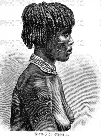 Young Niam-Niam woman, colonial and derogatory term for the Azande or Zande, indigenous ethnic group in Central Africa, portrait in profile, face, side view, bust view, braided hairstyle, scars, necklace, tattoos, sad look, historical illustration 1896