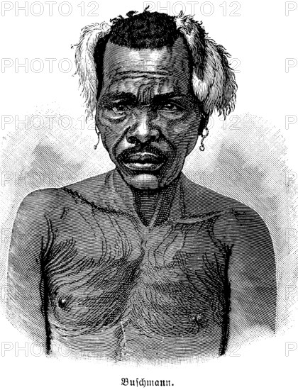 Bushman, former discriminatory term for the San people in South Africa, indigenous ethnic group, portrait middle-aged man, face, tattoos, headdress, feathers, beard, sad look, historical illustration 1896
