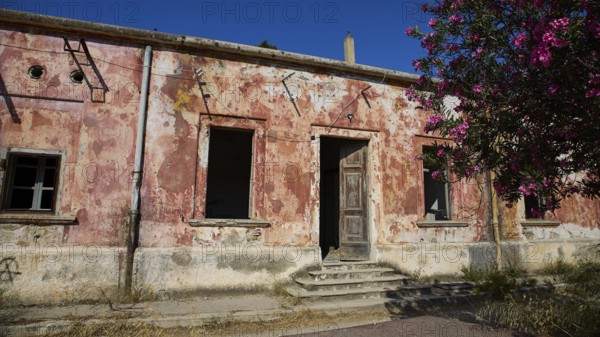 Lost Place, Dilapidated building with peeling plaster, surrounded by flowering tree under clear sky, Radio Station, WW2, Agios Nikolaos Radio, Agia Marina, Leros, Dodecanese, Greek Islands, Greece