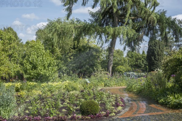 District educational garden, water sprinkler, Burgsteinfurt, Münsterland, North Rhine-Westphalia, Germany