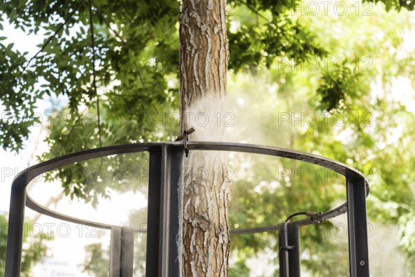 A tree is cooled with a fine mist of water by an urban irrigation system. The mist evaporates in the summer heat in Vienna, Austria