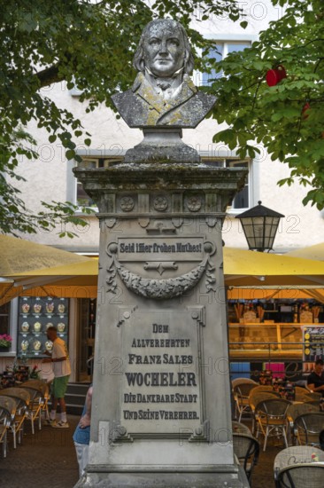 Monument to Franz Sales Wocheler, 1778 to 1848, was a priest and founder of the Leopold-Sophien Library, Überlingen, Baden-Württemberg, Germany