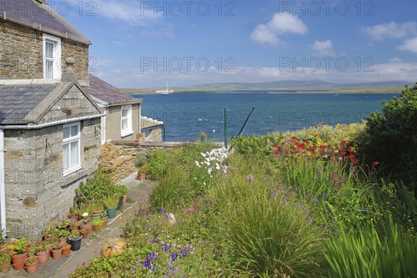 Stone cottage by the sea with flowering garden surrounded by peaceful coastal landscape, Stromness, Orkney Islands, Scotland, United Kingdom