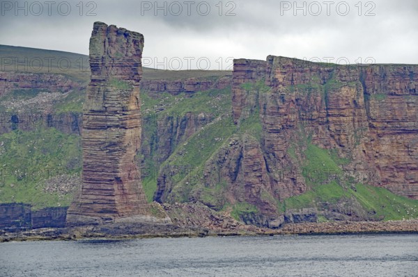 Impressive rock formations on the coast in contrast to overgrown green hill under cloudy sky, Old Men of Hoy, landmark, Hoy, Orkney Islands, Scotland, Great Britain