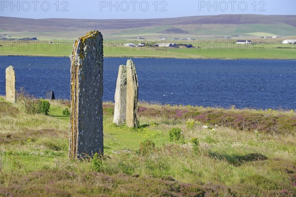 Ancient stones at the edge of a blue lake with green hills in the background, Ring of Brodgar, stone circle, Mainland, Orkney Islands, Scotland, Great Britain