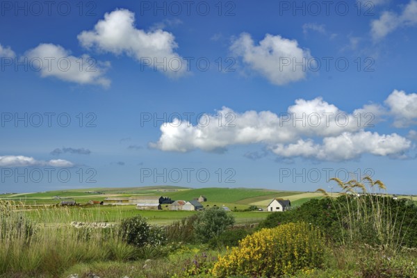 Village landscape with houses and fields under a cloudy sky, Mainland, Orkney Islands, Scotland, Great Britain