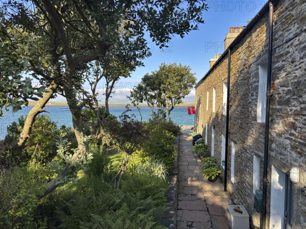Small stone cottage with garden and sea view in sunny weather, surrounded by nature, Stromness, Mainland, Orkney Islands, Scotland, United Kingdom