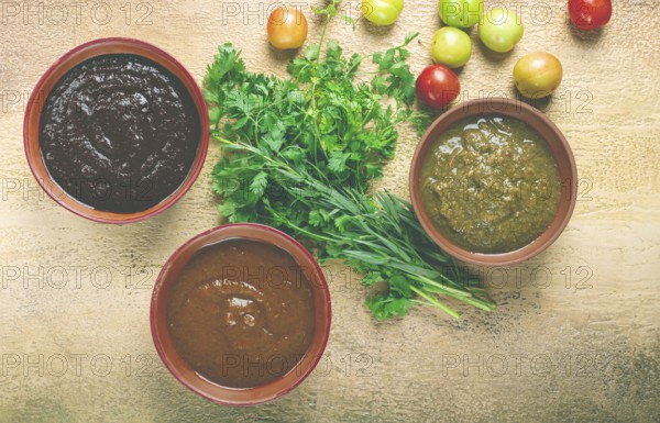 Set of tkemali sauces, three types of tkemali sauce, in ceramic bowls, top view, Georgian cuisine, no people
