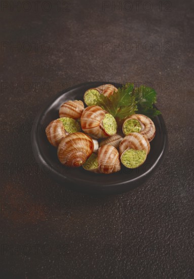 Snails stuffed in Burgundy, on a black plate, with grape leaves, French cuisine, no people