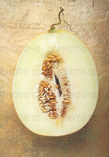Fresh melon in section, half melon, chardzhuiskaya variety, gulabi melon, top view