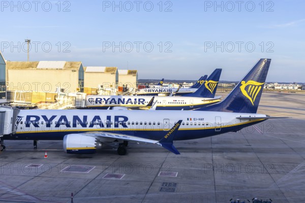 Ryanair Boeing 737 aircraft at Palma de Majorca Airport, Spain