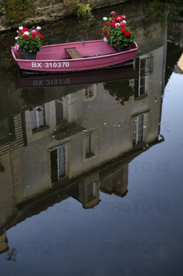 Boat, pink, pink, decorated with flowers, on the river Aure, reflection, tanners' quarter, old town, Bayeux, Normandy, Calvados, France