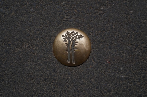 Golden waymarker for city tour on the asphalt, motif liberty tree, old town, Bayeux, Normandy, Calvados, France