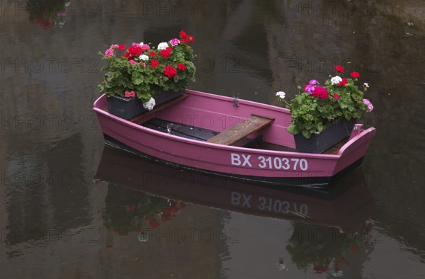 Boat, pink, pink, decorated with flowers, on the river Aure, tanners' quarter, old town, Bayeux, Normandy, Calvados, France