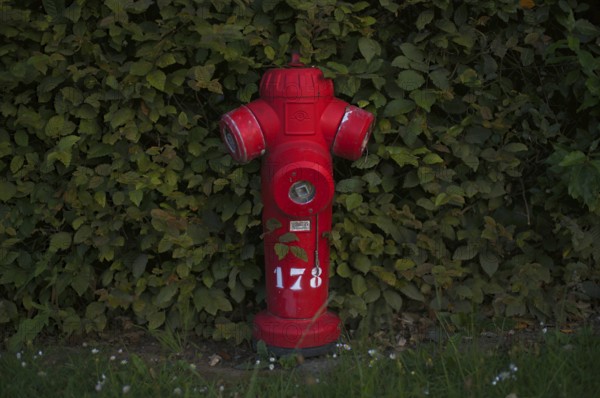 Hydrant, red, Bayeux, Normandy, Calvados, France