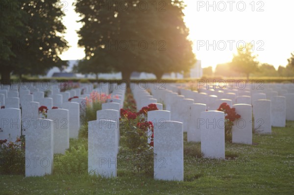 Gravestones, war graves, soldiers' graves, flowers, roses, British and German military cemetery, Cimetière militaire britannique, D-Day, Operation Overlord, Bayeux, Normandy, Calvados, France