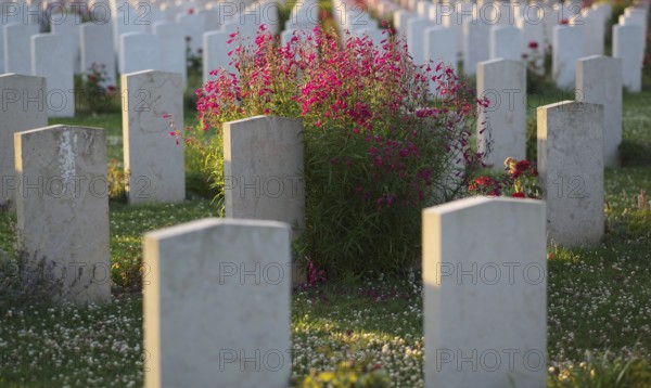 Gravestones, war graves, soldiers' graves, flowers, British and German military cemetery, Cimetière militaire britannique, D-Day, Operation Overlord, Bayeux, Normandy, Calvados, France