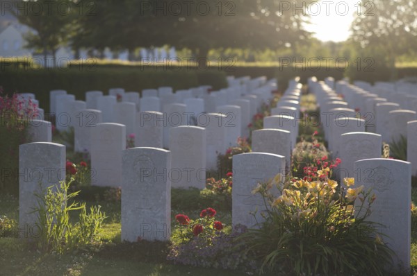 War graves, military graves, flowers, roses, British and German military cemetery, Cimetière militaire britannique, D-Day, Operation Overlord, Bayeux, Normandy, Calvados, France