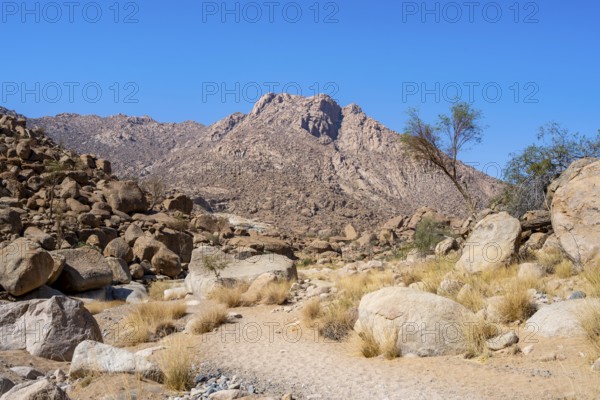 Tsisab Gorge, White Lady Trail, desert landscape with mountains, Brandberg, Erongo, Damaraland, Namibia