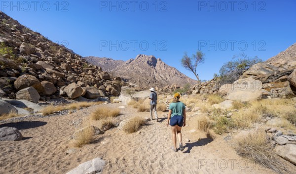 Tourist with guide on the White Lady Trail, Tsisab Gorge, desert landscape, Brandberg, Erongo, Damaraland, Namibia