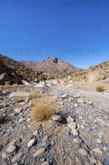 Tsisab Gorge, White Lady Trail, desert landscape, Brandberg, Erongo, Damaraland, Namibia