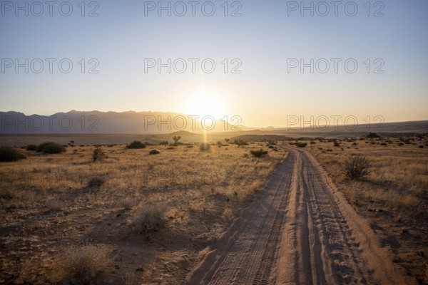 Sandy track, desert landscape in the evening light at sunset, backlit, Brandberg, Erongo, Damaraland, Namibia