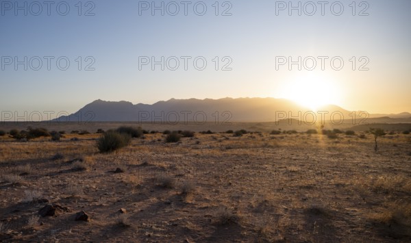 Desert landscape in the evening light at sunset, Brandberg, Erongo, Damaraland, Namibia