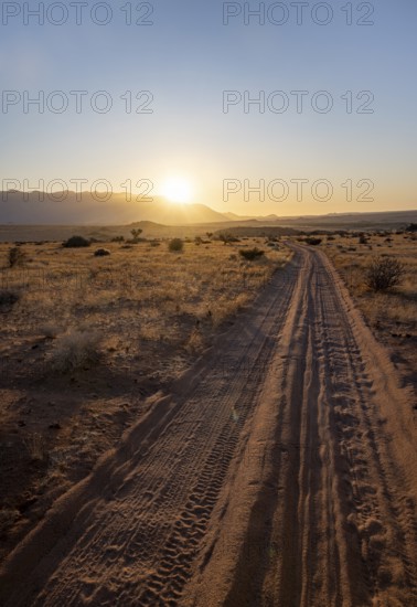 Sandy track, desert landscape in the evening light at sunset, backlit, Brandberg, Erongo, Damaraland, Namibia