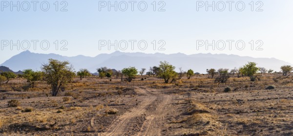 Sandy track, desert landscape, Brandberg, Erongo, Damaraland, Namibia