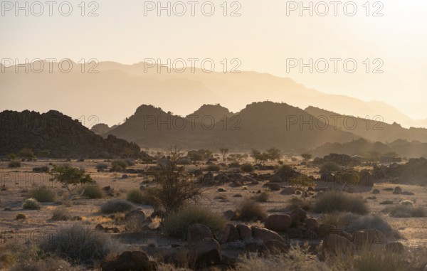 Barren landscape with hills of stacked rocks, desert landscape in the evening light at sunset, Brandberg, Erongo, Damaraland, Namibia