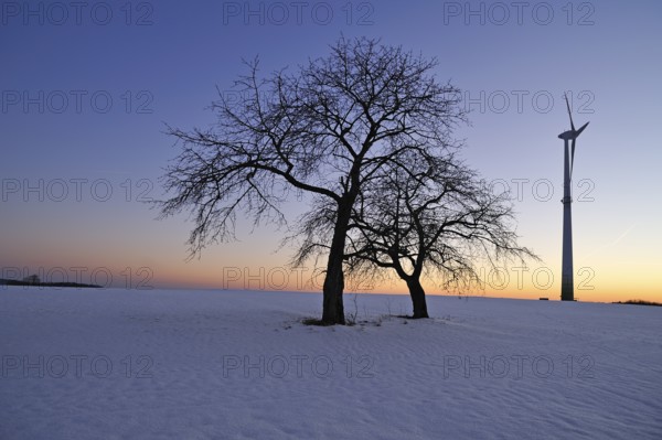 Two bare fruit trees against the evening sky in winter, on the right a wind turbine, Karsberg, Upper Franconia, Bavaria, Germany