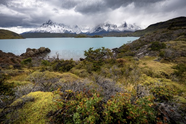 Cloudy mountain range Cuernos del Paine, shore of the blue lake Lago Pehoe in the evening light, dramatic sky, Torres del Paine National Park, Chile
