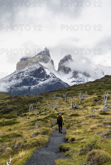 Hikers on a hiking trail to the Mirador de los Cuernos, Cuernos del Paine mountain range in autumn, Torres del Paine National Park, Magallanes region, Chile
