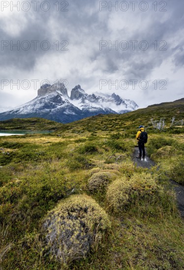 Hikers on the way to the Mirador de los Cuernos, Cuernos del Paine mountain range, dramatic sky, Torres del Paine National Park, Chile