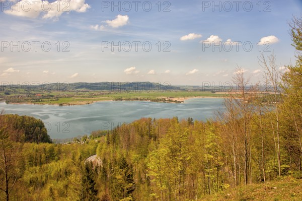 Lake Kochel with mountain forest, Kochel, Upper Bavaria, Bavaria