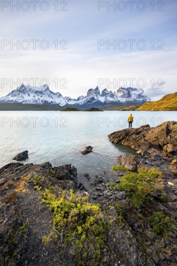 Young man on the shore of the blue lake Lago Pehoe in the evening light, Cuernos del Paine mountain range, Torres del Paine National Park, Chile