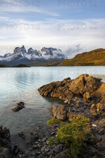 Shore of the blue lake Lago Pehoe in the evening light, Cuernos del Paine mountain range, Torres del Paine National Park, Chile