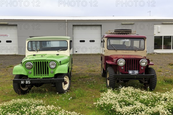 Two Willys Overland Jeeps parked next to each other, vintage car, Hvammstangi, Vatnsnes, Iceland