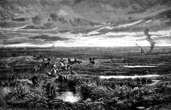 Wide plain of the Puszta or Pussta, water-rich grass steppe, herd of wild horses, Schaduff or draw well, smoke, Hungary, historical view, Seydlitz Geography 1885