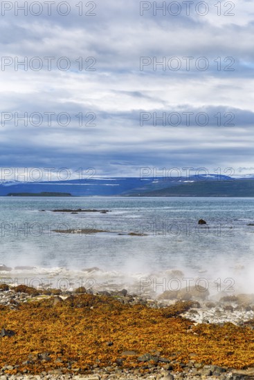 Hot spring flows into the sea, steaming rocky coast near Reykjanes, Súðavík, Ísafjarðardjúp fjord, Vestfirðir, Westfjords, Iceland