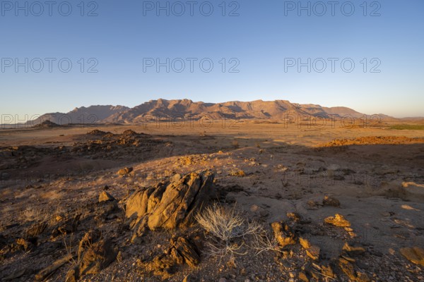 Desert landscape with Brandberg in the morning light, at sunrise, Erongo, Damaraland, Namibia