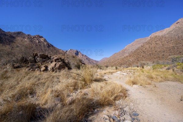 Tsisab Gorge, White Lady Trail, desert landscape, Brandberg, Erongo, Damaraland, Namibia