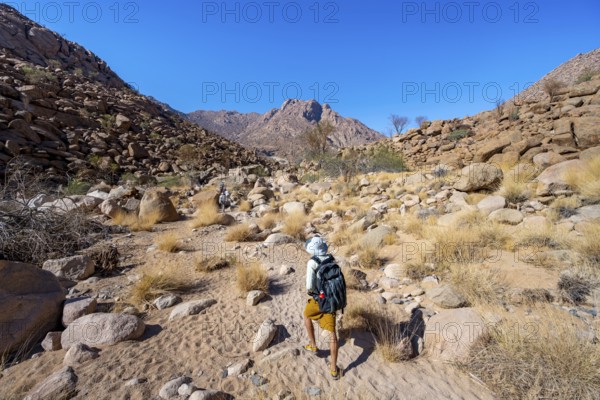 Tourist on a hiking trail in the Tsisab Gorge, White Lady Trail, desert landscape, Brandberg, Erongo, Damaraland, Namibia