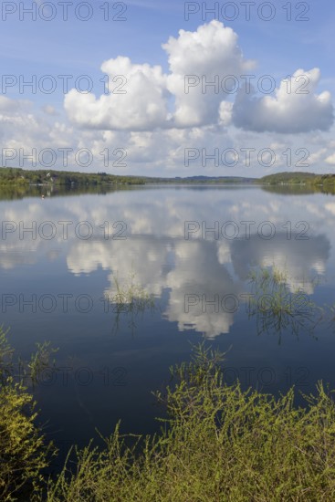 View over the Möhnesee, blue cloudy sky, reflection on the water surface, Möhnetalsperre, North Rhine-Westphalia, Germany