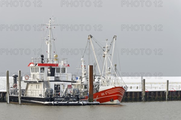 Winter day, onset of winter, ships in the harbour, North Sea, Norddeich, Lower Saxony, Germany