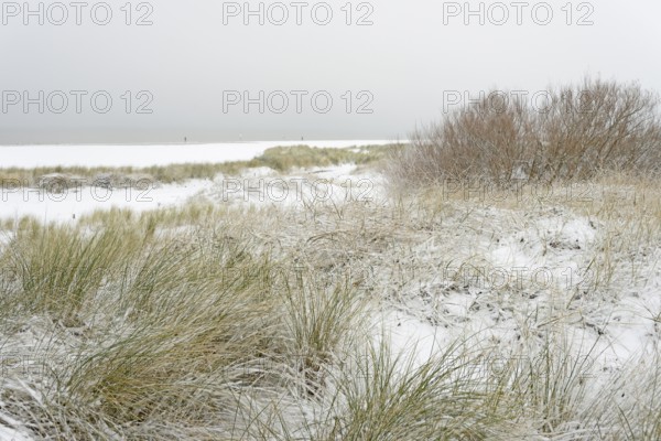 Winter day, onset of winter, snow-covered dune landscape of Norddeich, North Sea, Lower Saxony, Germany