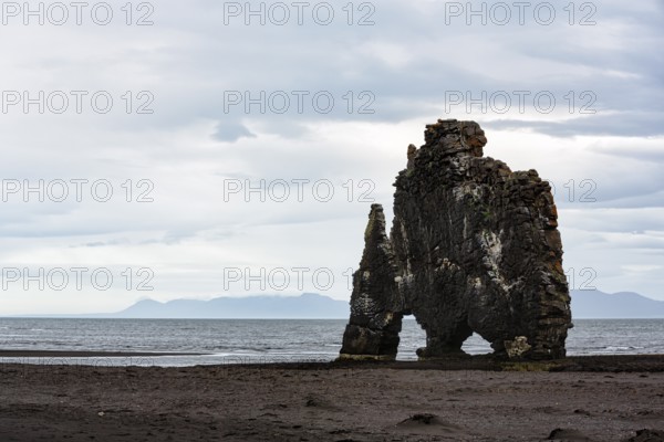 Basalt rock Hvitserkur, famous Elephant Rock on the lava beach, coastline, Vatnsnes peninsula, Hunafjördur, North Iceland, Iceland