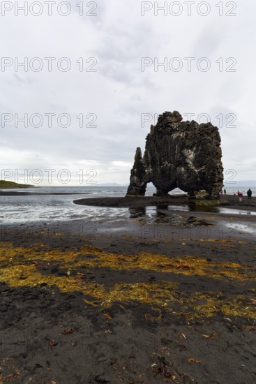Tourists at the basalt rock Hvitserkur, famous Elephant Rock on the lava beach, coastline, Vatnsnes peninsula, Hunafjördur, North Iceland, Iceland
