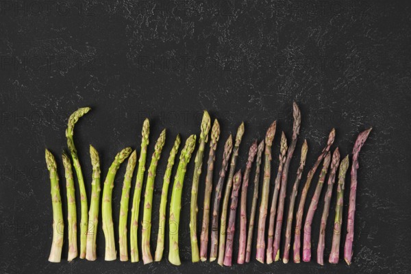 Different varieties of fresh asparagus are arranged neatly on a dark textured surface. The vibrant greens and purples create a colorful contrast, showcasing the freshness and quality of the produce